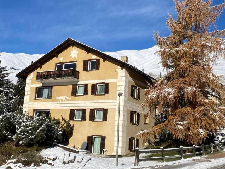 Ferienwohnung mit Hund in Zuoz f&uuml;r max. 6 Personen