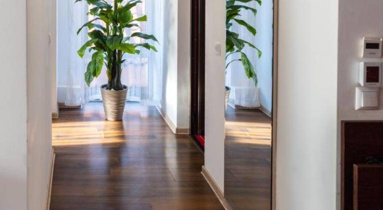 Wonderful serviced apartment | Dogs allowed — photo 4