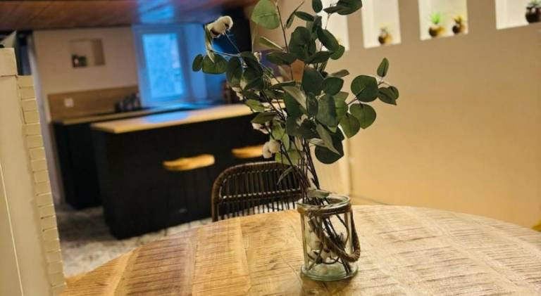 Beautiful apartment | Next to Capitole de Toulouse | Pets allowed — photo 4
