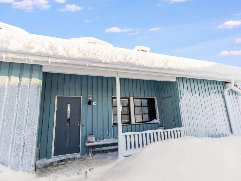 Vacation home with sauna — photo 3
