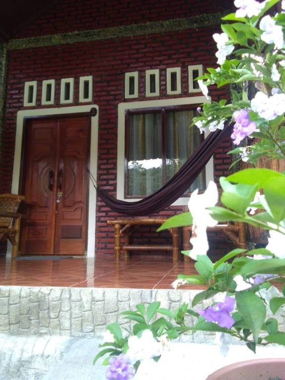 foto12