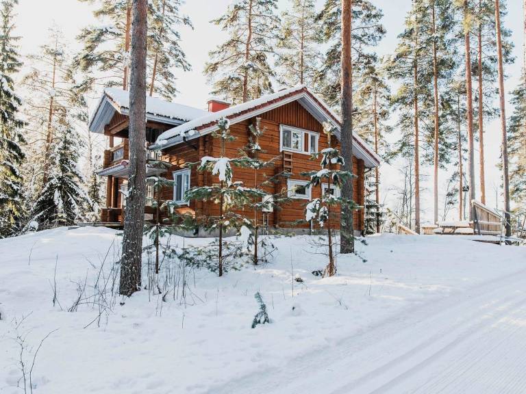 Ferienhaus Sysmä