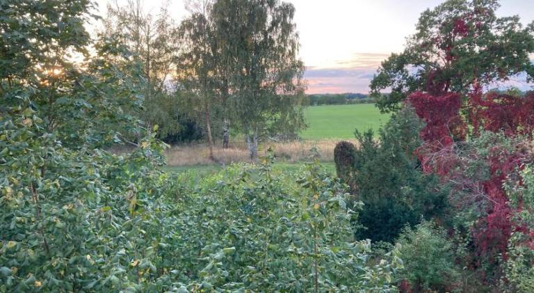 Nice rental apartment with yard | Pet-friendly — photo 2
