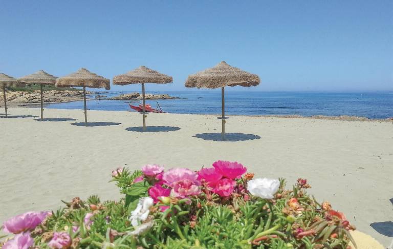 Ferienhaus  Porto Corallo