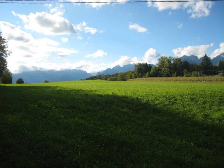 foto31