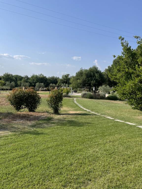 foto4