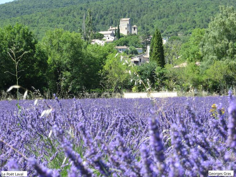 Maison de vacances  Dieulefit