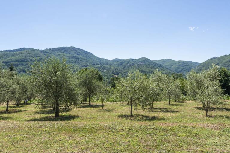 foto13
