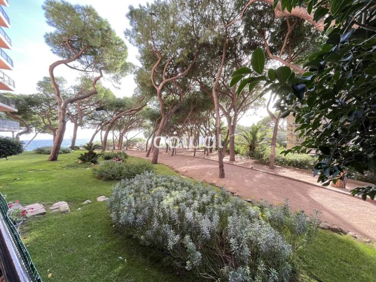 Apartment | Beach nearby | Pets are welcome — photo 5