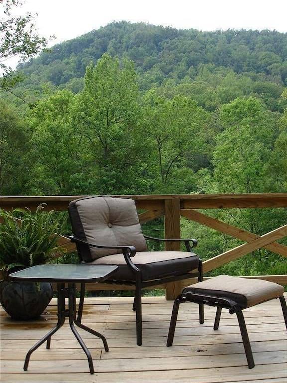 Cabin Saluda