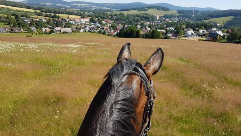 Ferienwohnung  Neukirch/Lausitz
