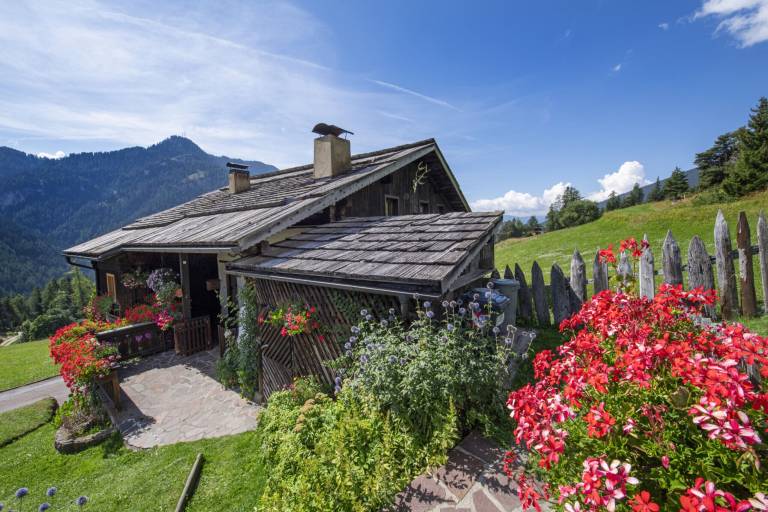 Appartement Ortisei
