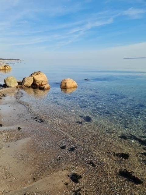 foto12