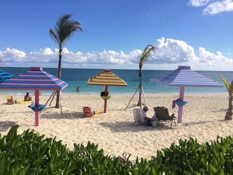 Private room  Freeport