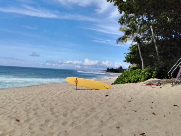 Pension North Shore