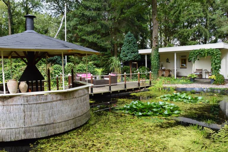 foto14