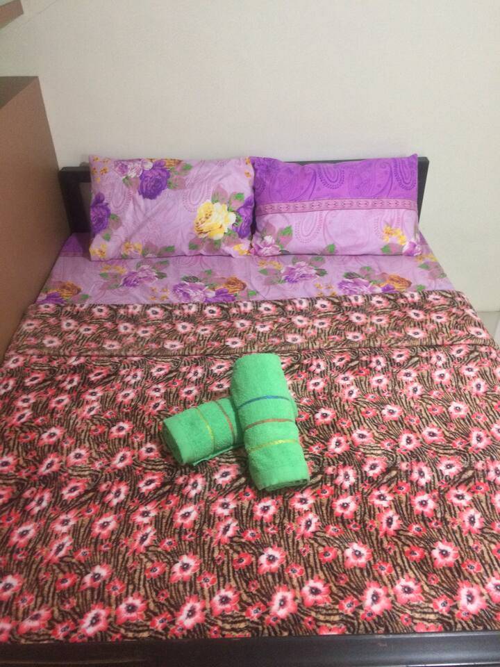 foto11