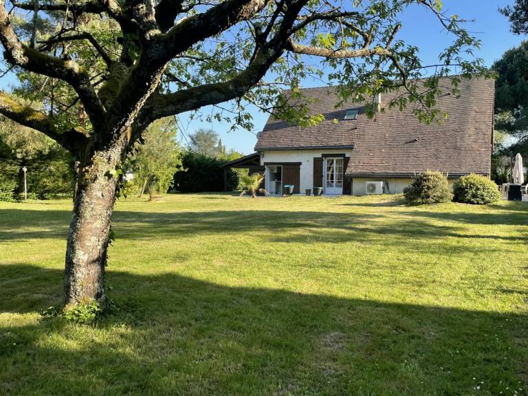foto35