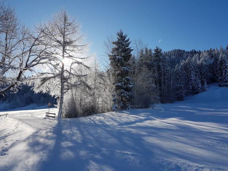 foto22