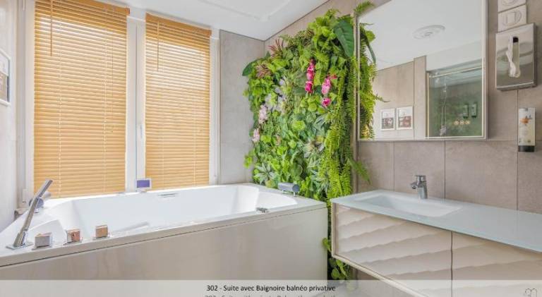Serviced apartment with sauna & hot tub | Near Palais des Beaux-Arts de Lille — photo 4