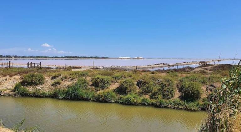 Lovely vacation home | Pets are welcome in Arles