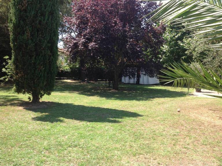 foto17