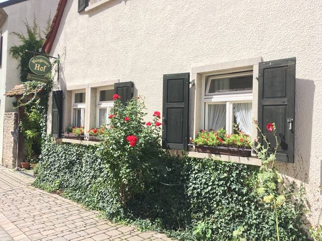 foto11