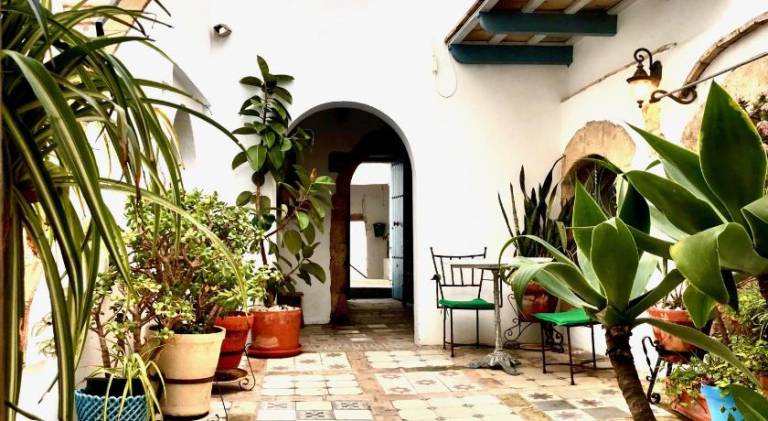 Nice rental apartment | Pets are welcome — photo 2