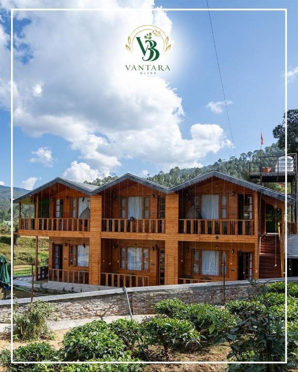 House with 2 rooms for 4 persons — photo 3