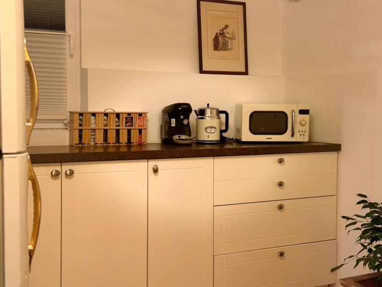 Apartment with terrace — photo 4