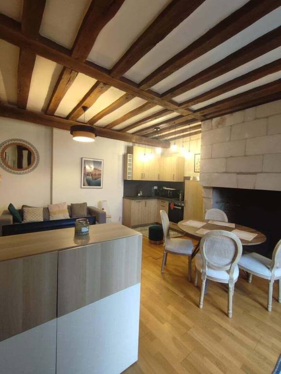 Appartement Tours