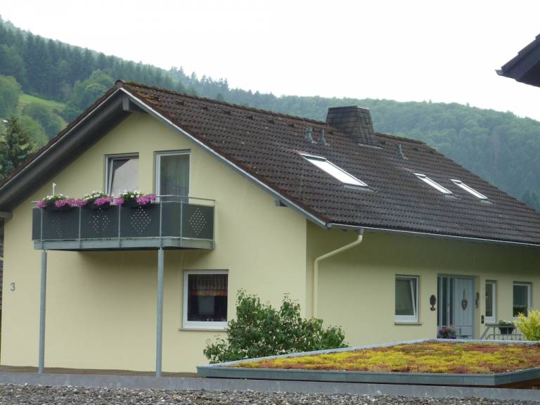 Ferienwohnung Münstertal/Schwarzwald
