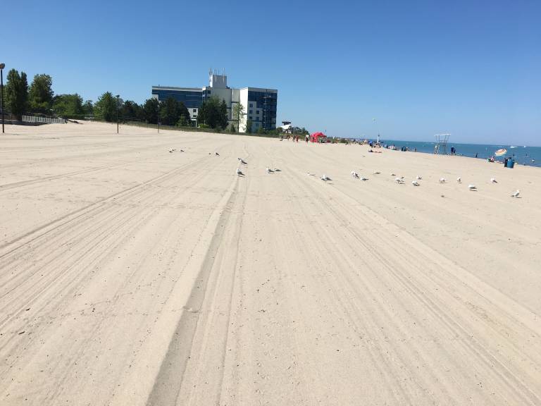 Cottage Grand Bend
