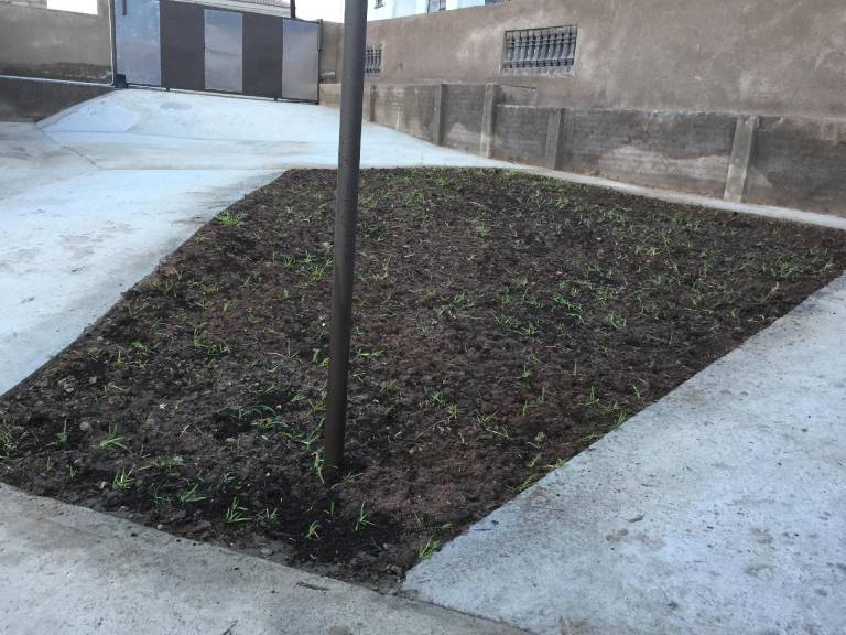 foto18