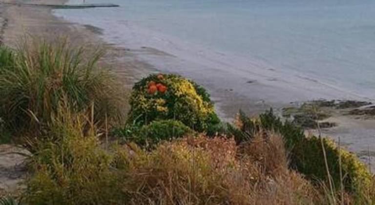 foto8