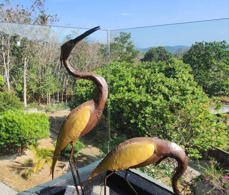 foto49