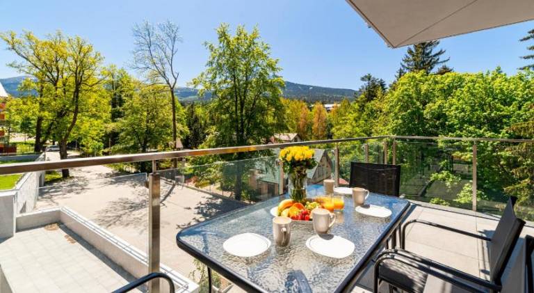 Apartment with jacuzzi, sauna & pool | Next to the ski | Pets allowed — photo 5