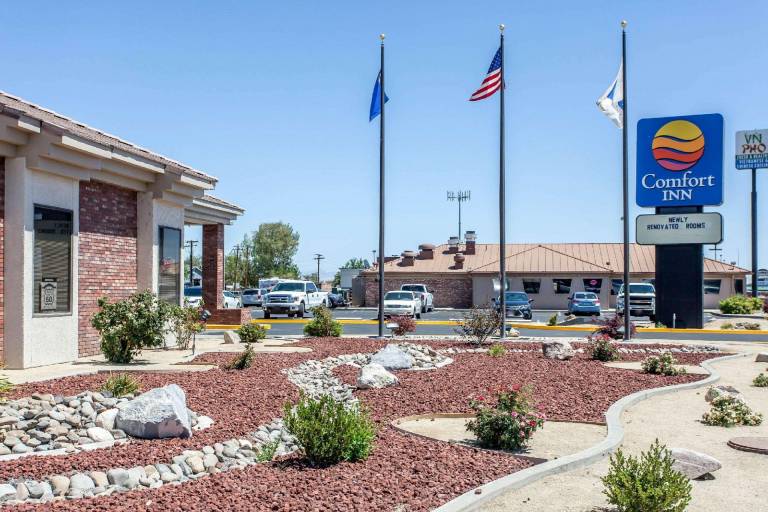 Comfort Inn & Suites Near Fallon Naval Air Station in Fallon, NV