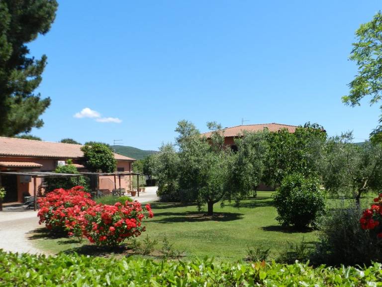 Privatzimmer Magliano in Toscana