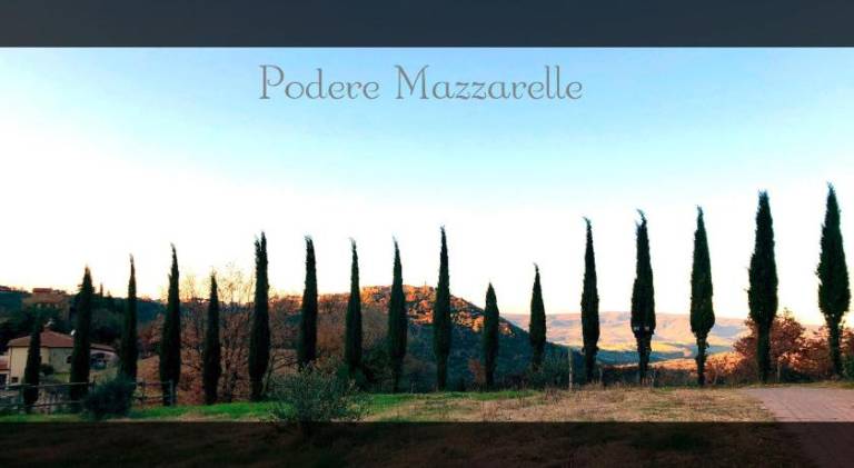 Vacation home with barbeque, patio & garden in Castel del Piano