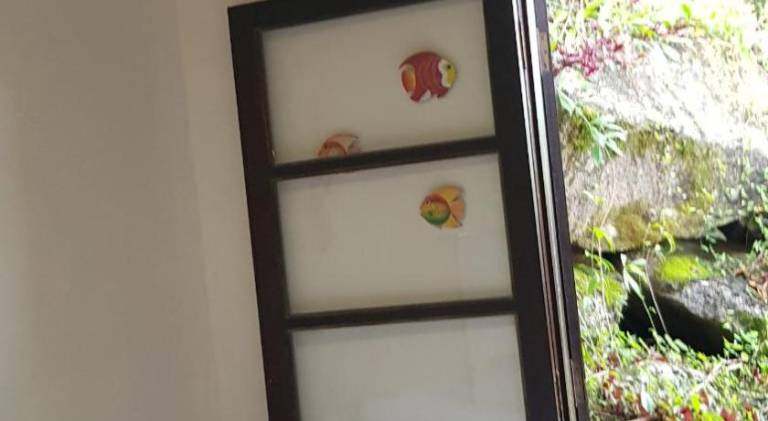 foto9