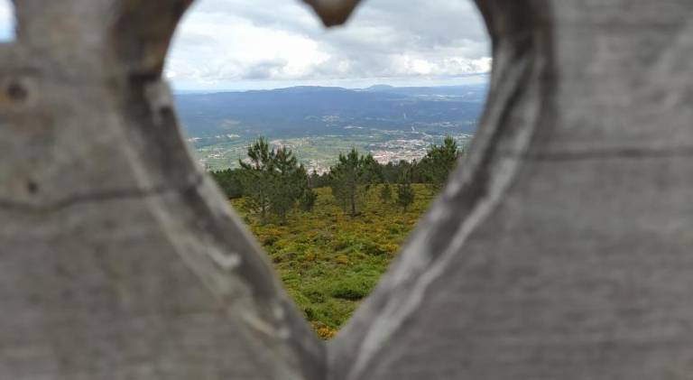 foto41