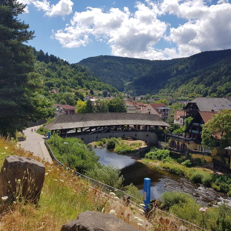 foto47