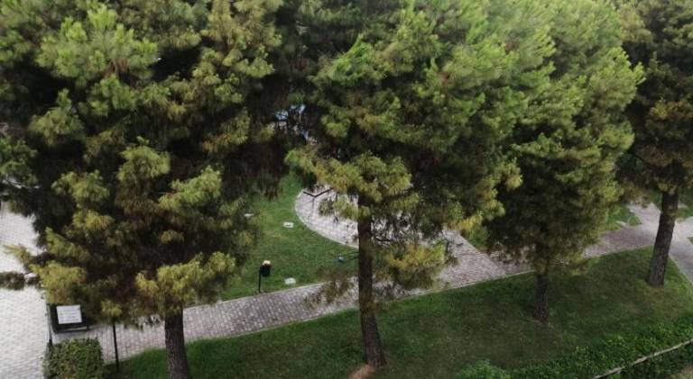 foto6