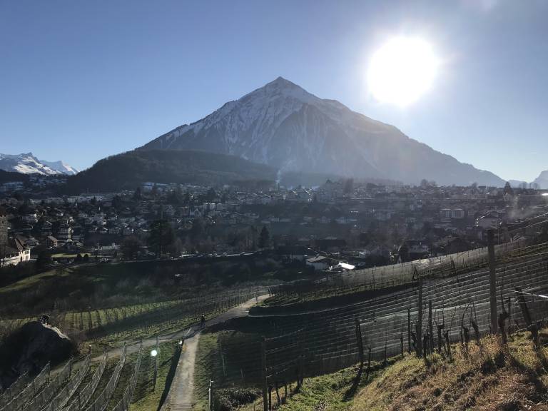 foto45