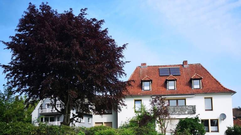 Ferienwohnung Bad Iburg