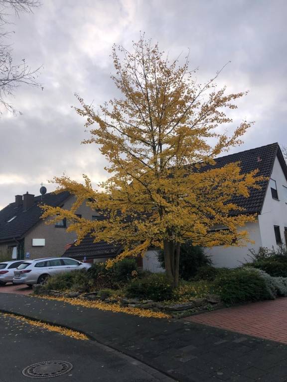 Ferienwohnung Paderborn