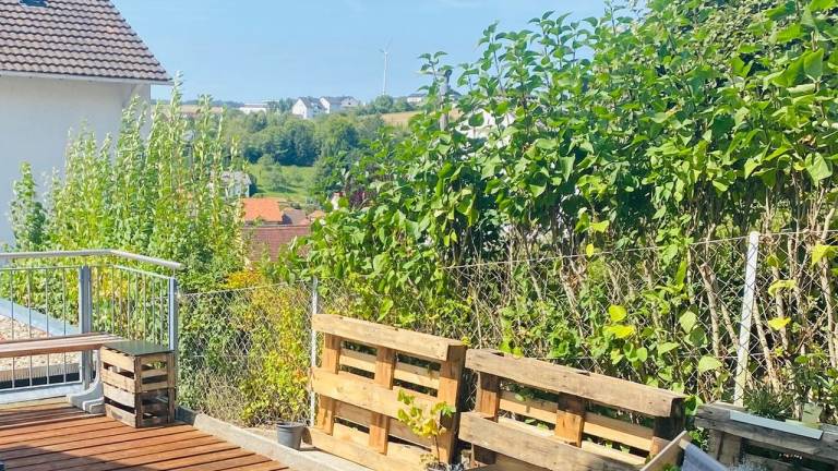 Ferienwohnung Veitshöchheim