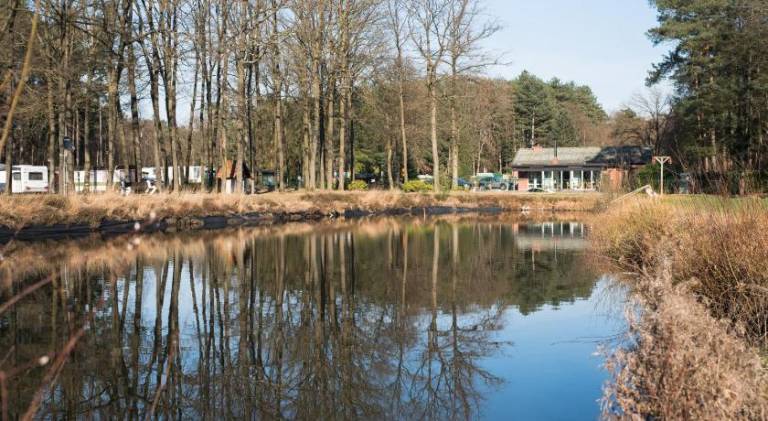 Camping het Swinnenbos — photo 2