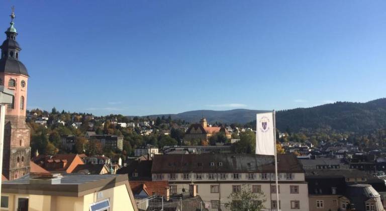 Holiday apartment with 1 room for 3 persons in Baden-Baden